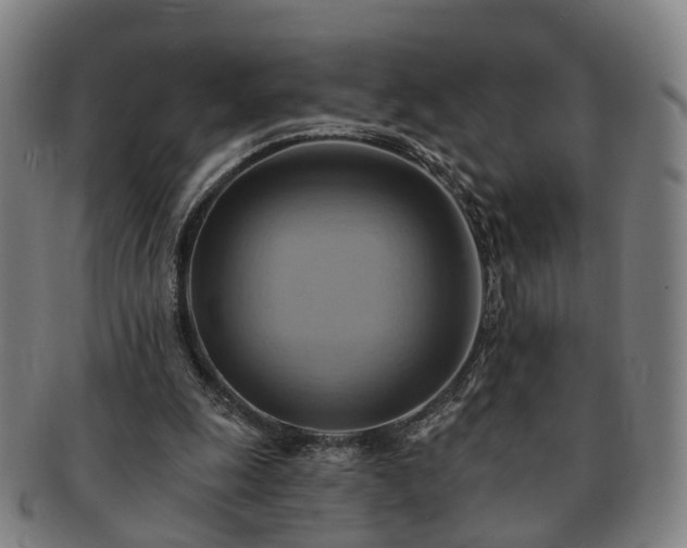 X0000091580247200708271227