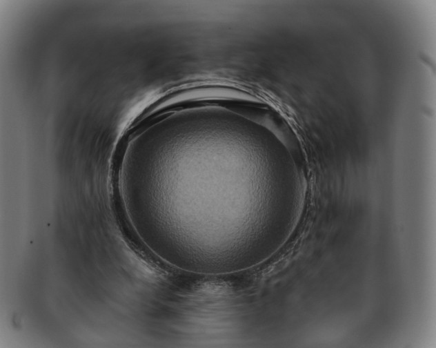 X0000091580248200708271227