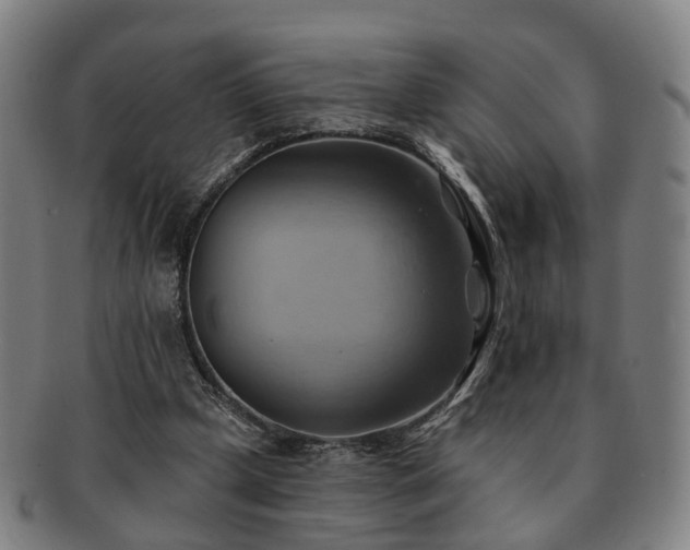 X0000091580249200708271227