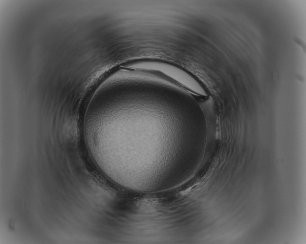 X0000091580252200708271227