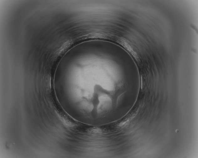 X0000091580253200708271227