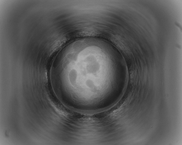 X0000091580254200708271227