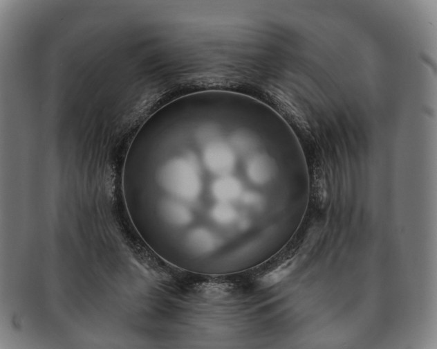X0000091580255200708271227