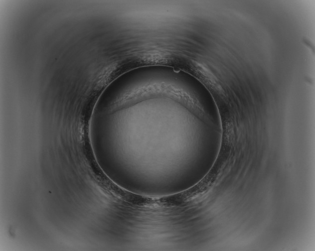 X0000091580259200708271227
