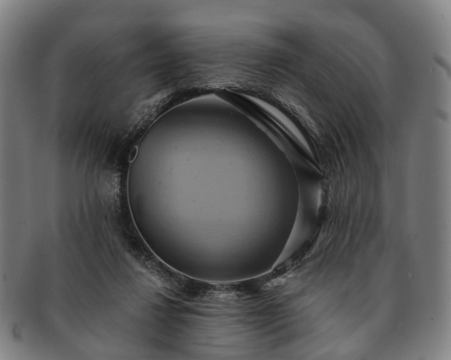 X0000091580260200708271227