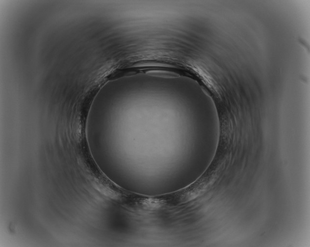 X0000091580261200708271227