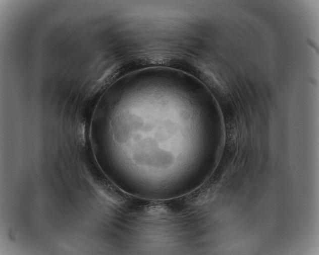 X0000091580262200708271227
