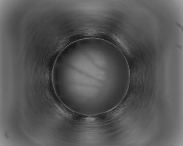 X0000091580265200708271227