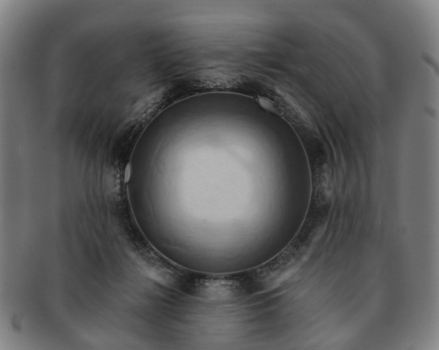 X0000091580268200708271227