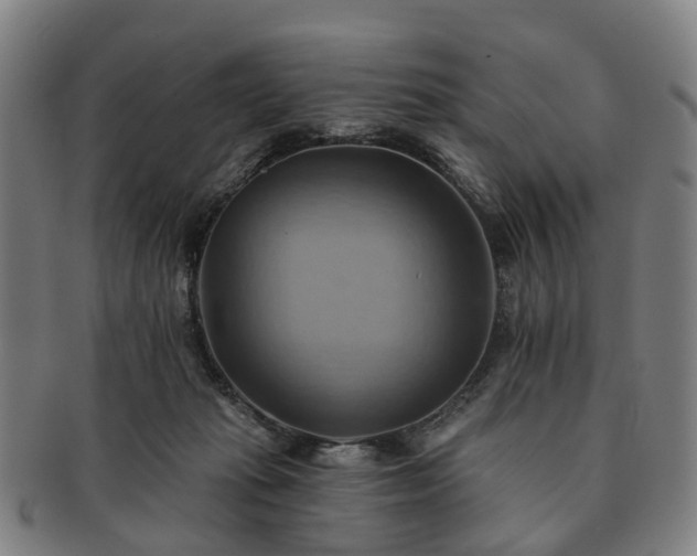 X0000091580269200708271227