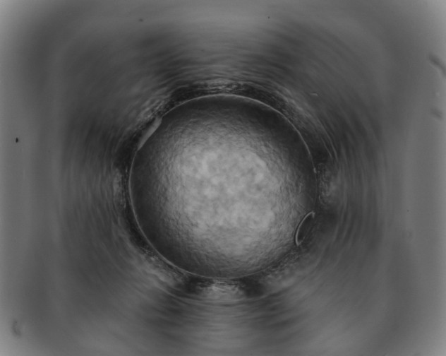 X0000091580270200708271227