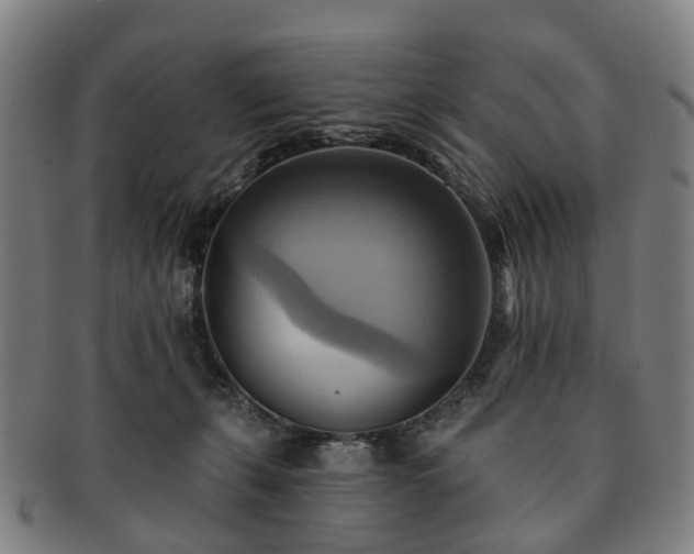 X0000091580271200708271227