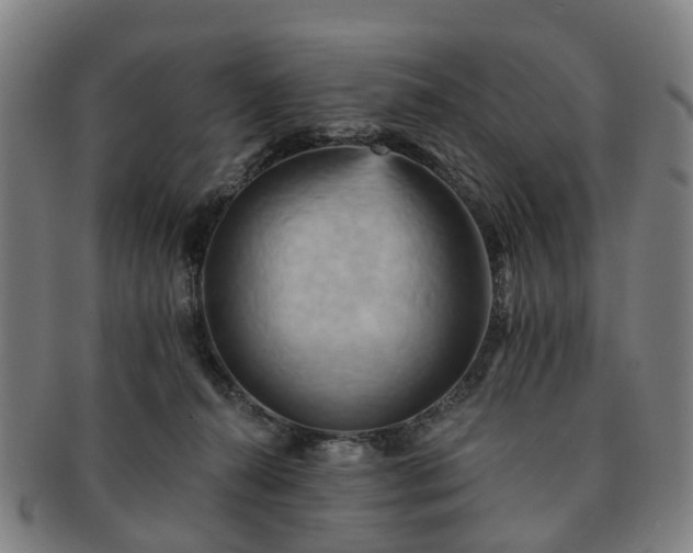 X0000091580272200708271227