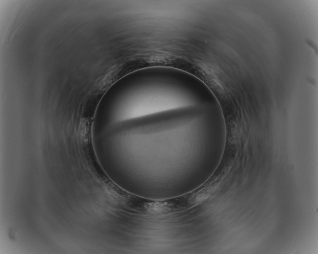 X0000091580273200708271227