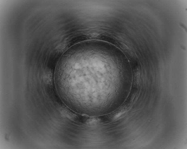 X0000091580274200708271227