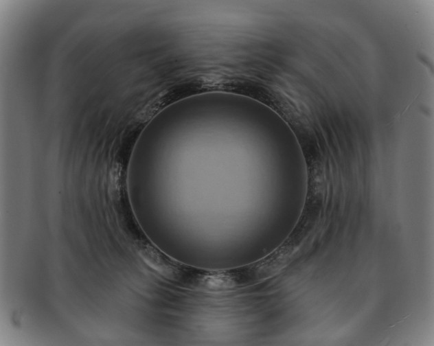 X0000091580275200708271227