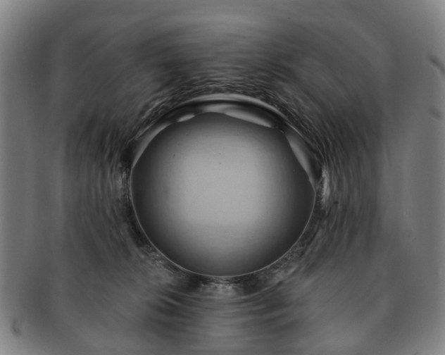 X0000091580276200708271227