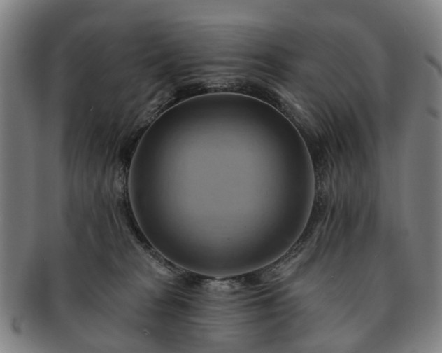 X0000091580277200708271227