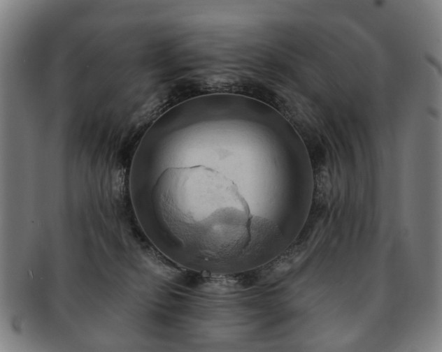 X0000091580278200708271227