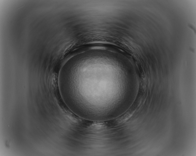 X0000091580280200708271227
