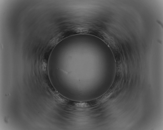 X0000091580281200708271227