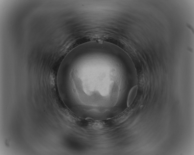 X0000091580282200708271227