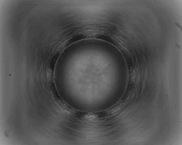 X0000091580283200708271227