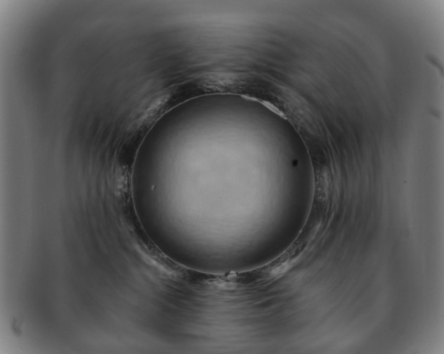 X0000091580284200708271227