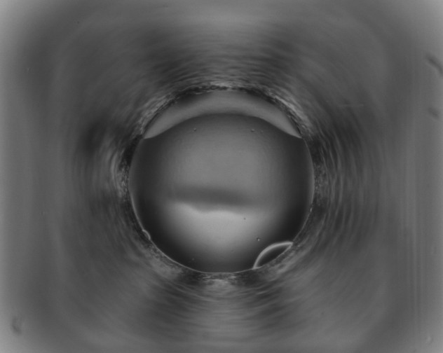 X0000091580285200708271227