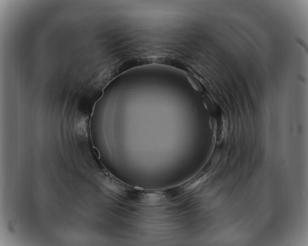 X0000091580286200708271227