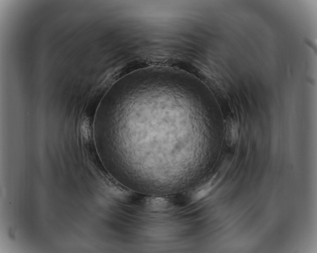 X0000091580287200708271227