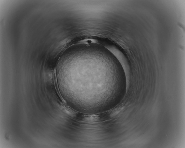 X0000091580288200708271227
