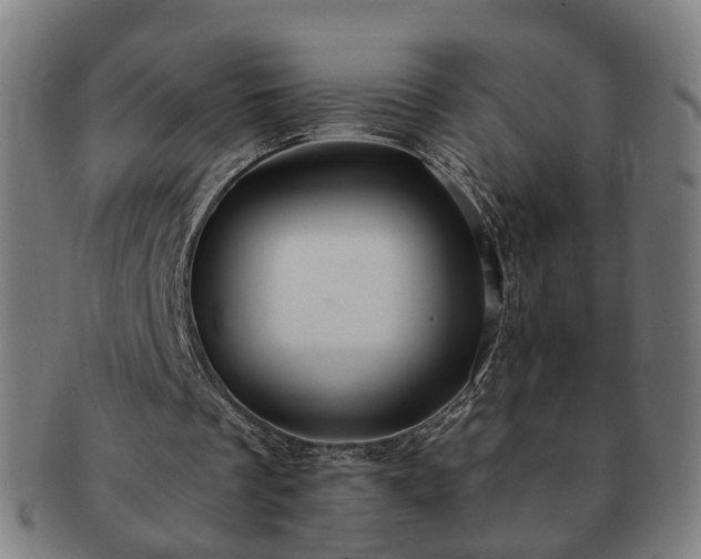 X0000091580289200708271226