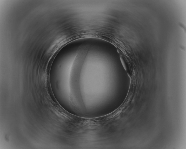 X0000091580290200708271226