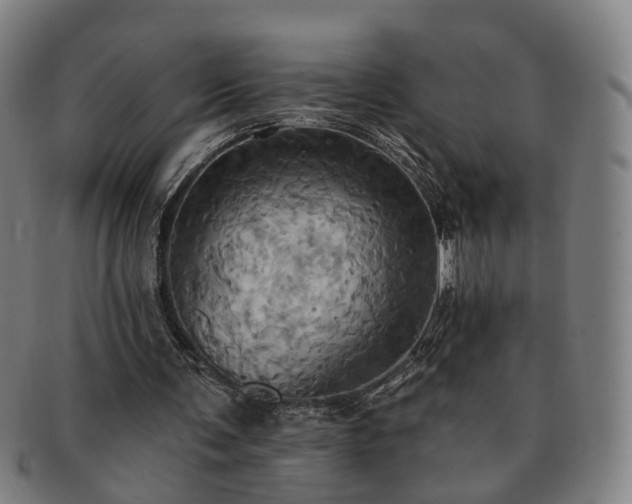 X0000091580291200708271226