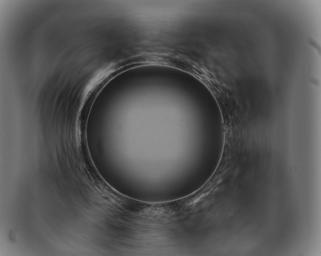 X0000091580294200708271226