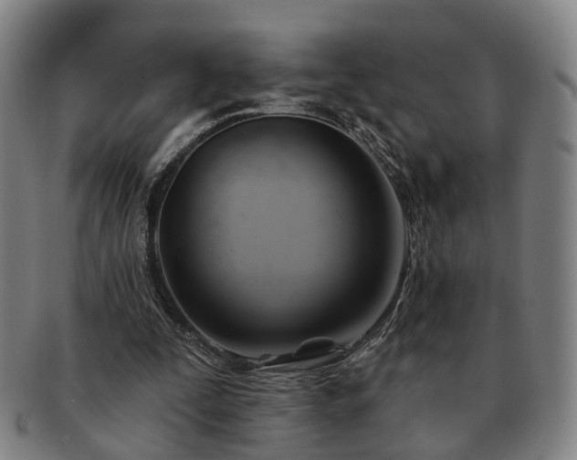 X0000091580295200708271226
