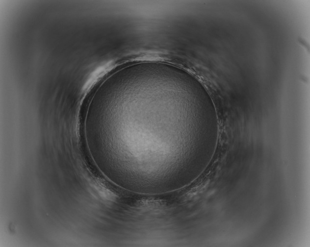 X0000091580296200708271226