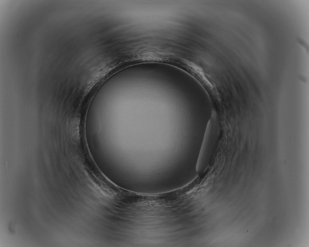 X0000091580299200708271226