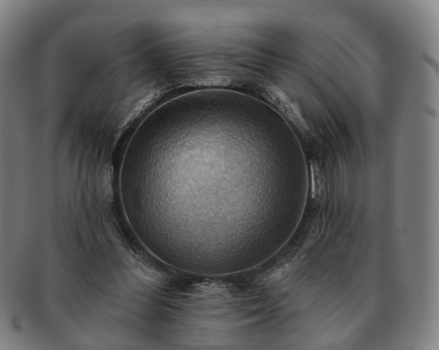 X0000091580300200708271226