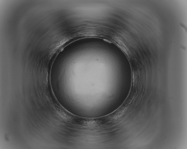 X0000091580301200708271226