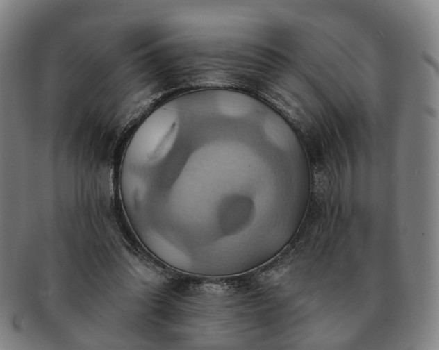 X0000091580302200708271226