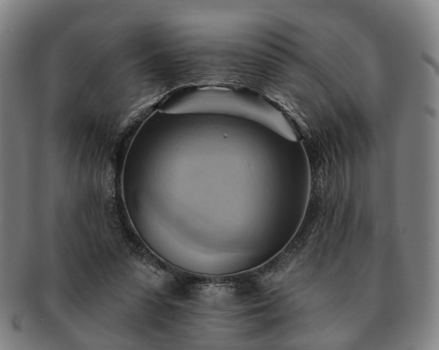 X0000091580303200708271226