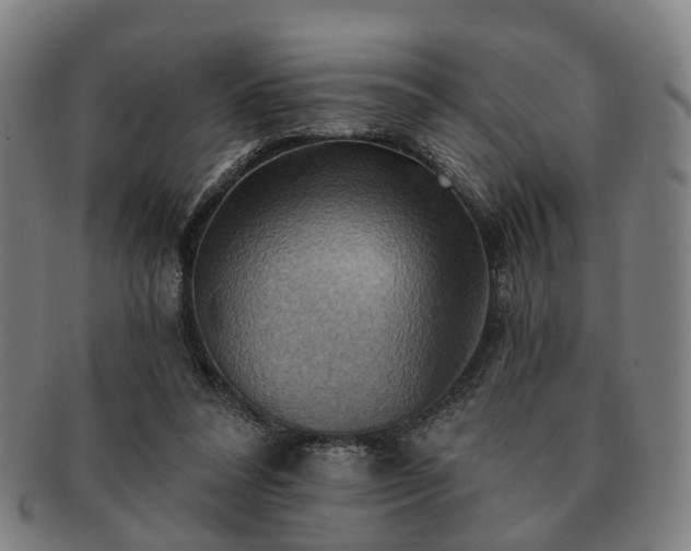 X0000091580304200708271226