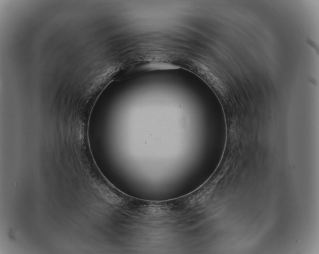 X0000091580305200708271226