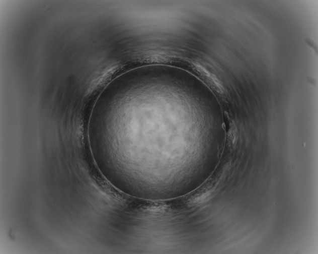 X0000091580306200708271226