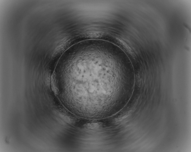 X0000091580307200708271226