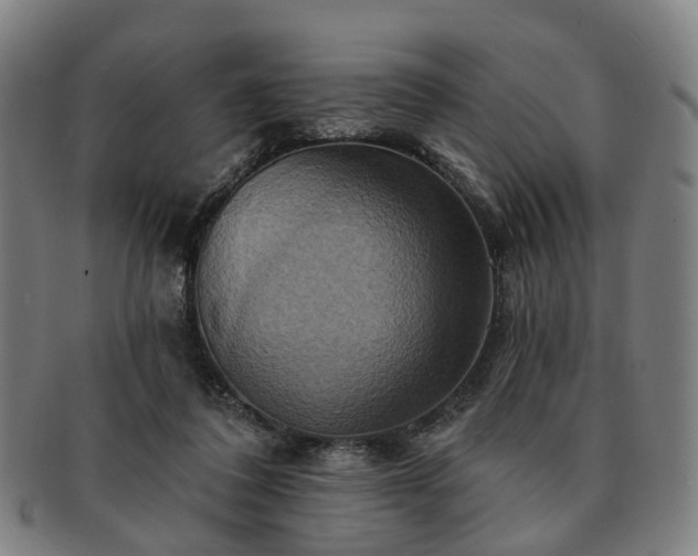 X0000091580308200708271226