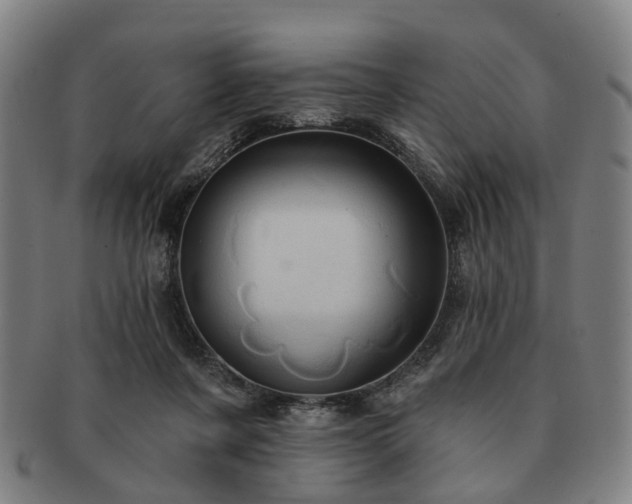 X0000091580311200708271226