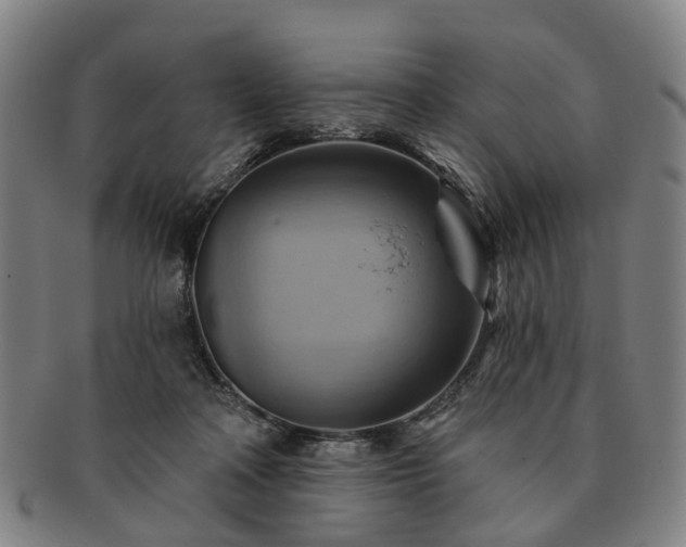 X0000091580314200708271226